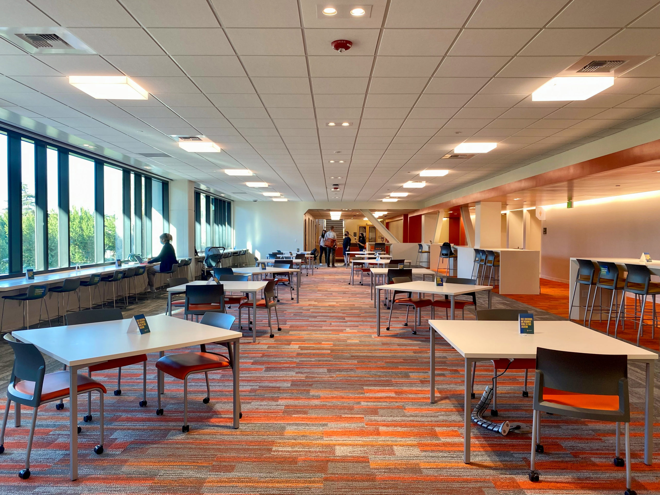 Orange Study 2-2